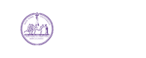 紐約大學(xué)